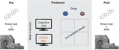 Inducing a Functional-Pharmacological Coupling in the Human Brain to Achieve Improved Drug Effect